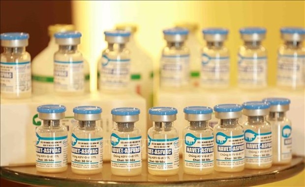 made-in-vietnam asf vaccines to be exported to philippines, indonesia picture 1 made-in-vietnam asf vaccines to be exported to philippines, indonesia picture 1