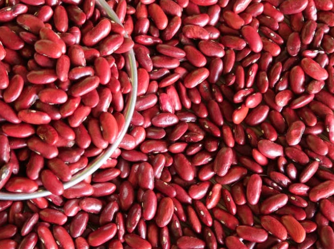 Vì sao nên ngâm đậu thận trước khi nấu?