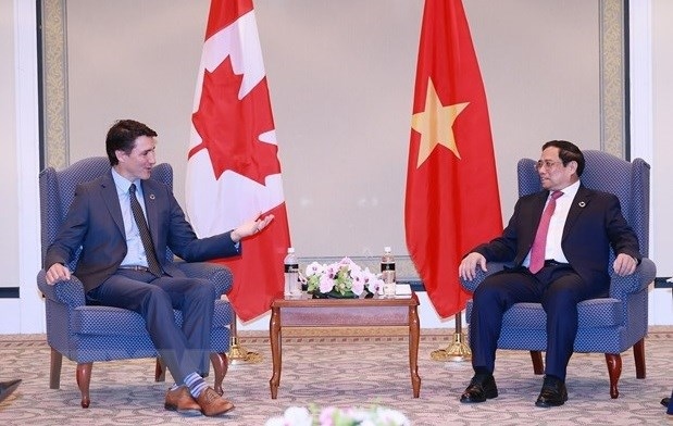 vietnam-canada relations enjoy quantum leaps ambassador picture 1
