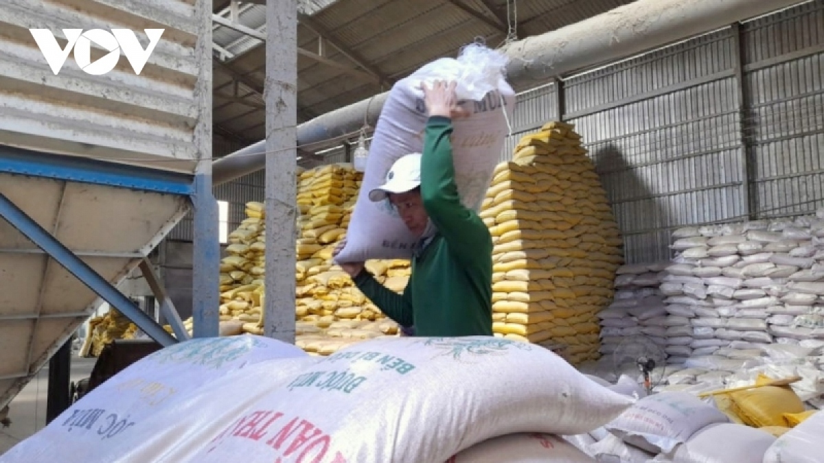 price of vietnamese rice for export suddenly bounces back picture 1