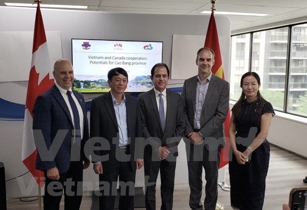 cao bang seeks cooperation opportunities in canada picture 1