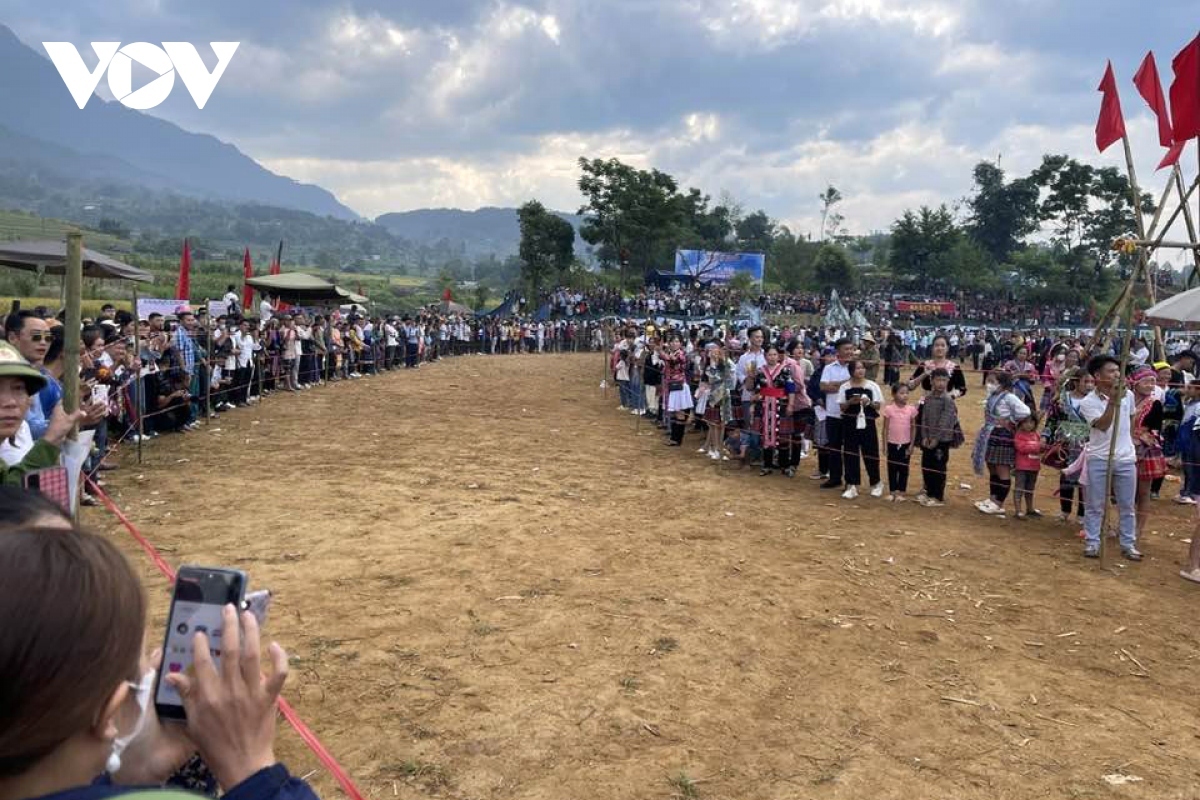 horse riders show off skills on the northern plateau picture 1