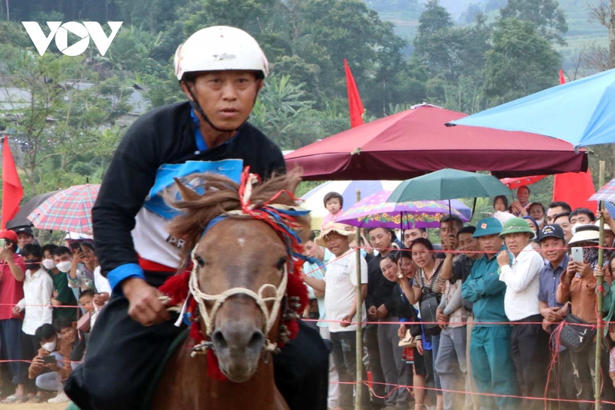 horse riders show off skills on the northern plateau picture 10 horse riders show off skills on the northern plateau picture 10