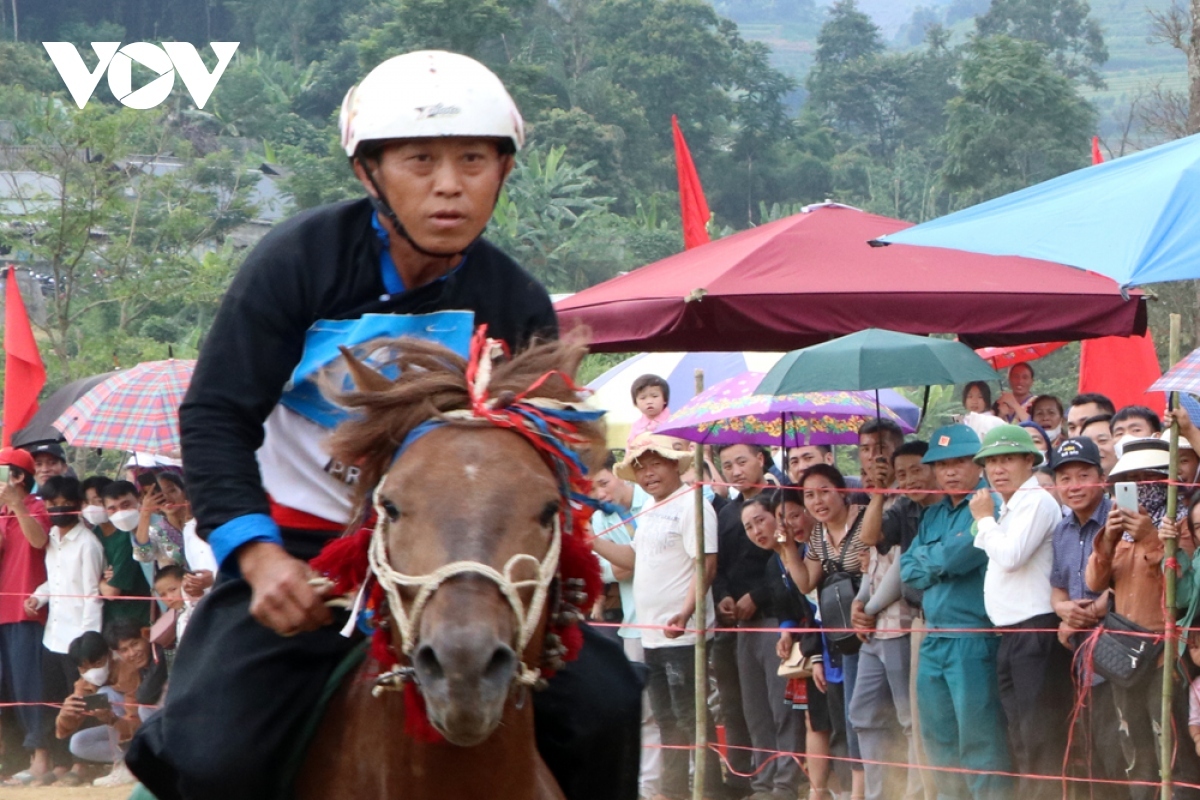 horse riders show off skills on the northern plateau picture 10