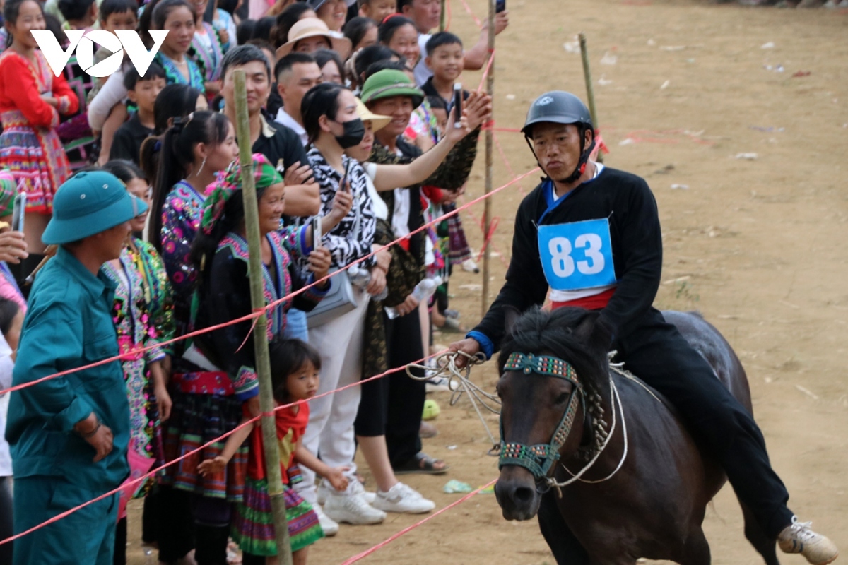 horse riders show off skills on the northern plateau picture 11
