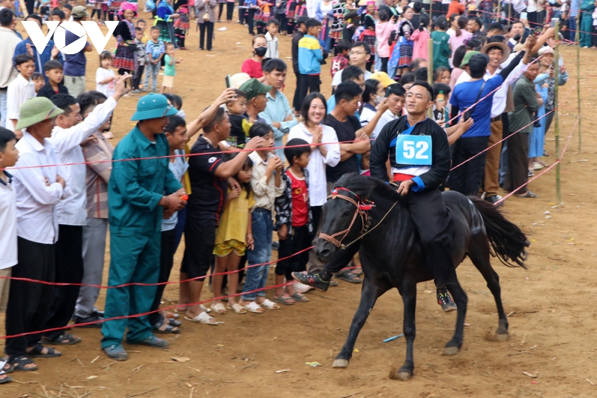 horse riders show off skills on the northern plateau picture 12