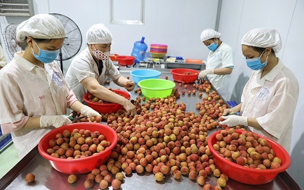 compliance with quality standards a must to bolster fruit exports insiders picture 1