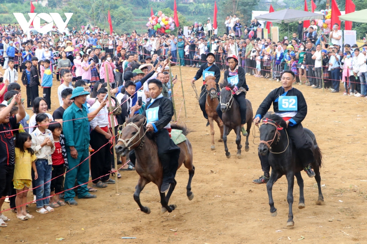horse riders show off skills on the northern plateau picture 2
