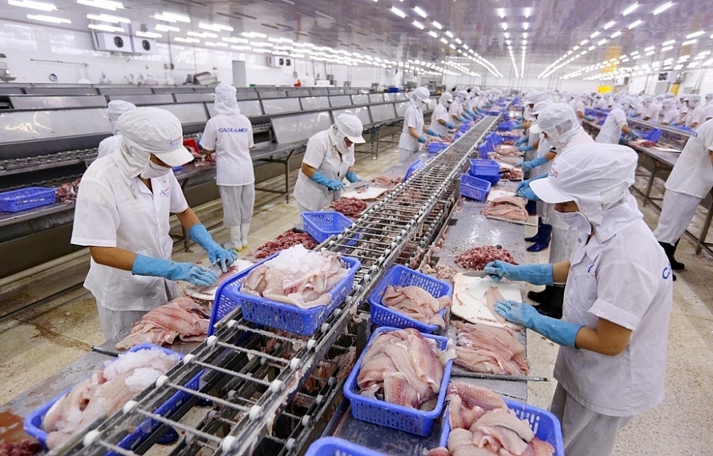 vietnamese pangasius exports to germany endure consecutive declines picture 1