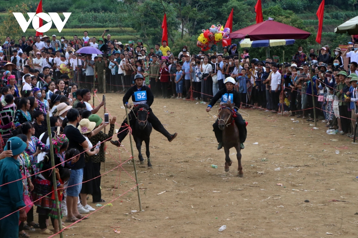 horse riders show off skills on the northern plateau picture 3