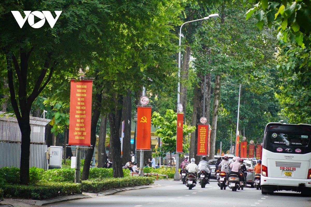 streets of ho chi minh city brightly decorated ahead of national day picture 3