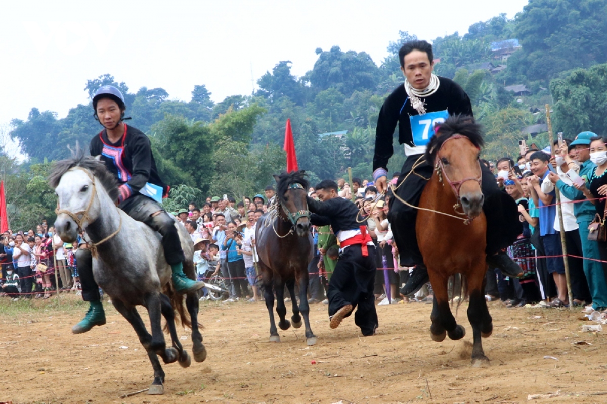 horse riders show off skills on the northern plateau picture 5
