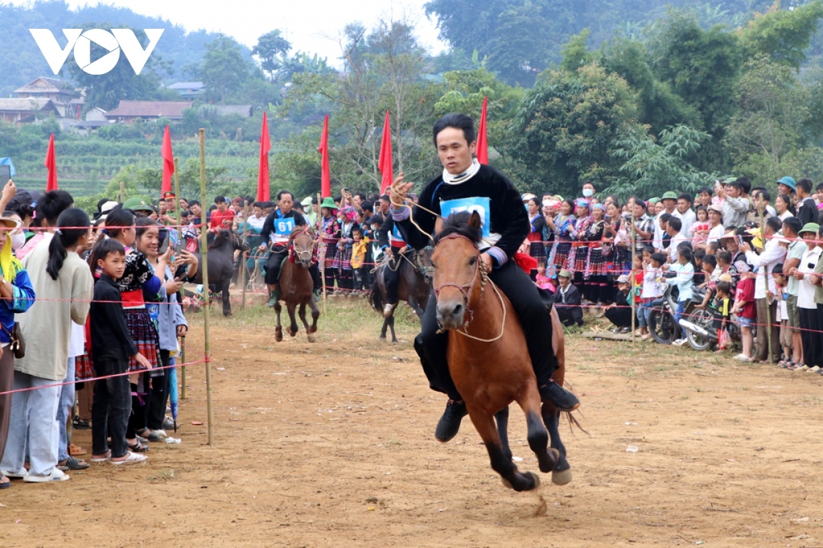 horse riders show off skills on the northern plateau picture 6