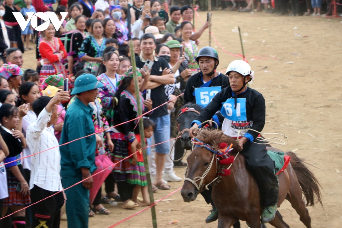 horse riders show off skills on the northern plateau picture 7