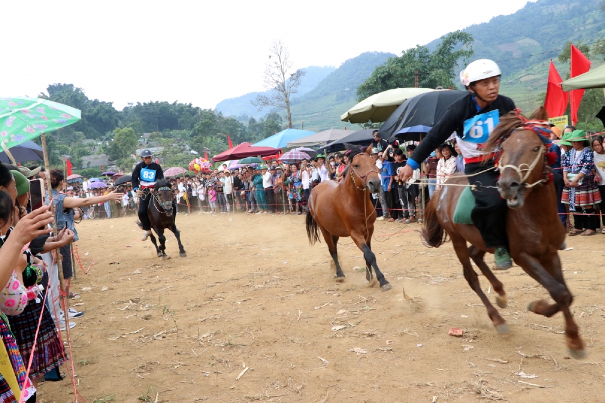 horse riders show off skills on the northern plateau picture 8