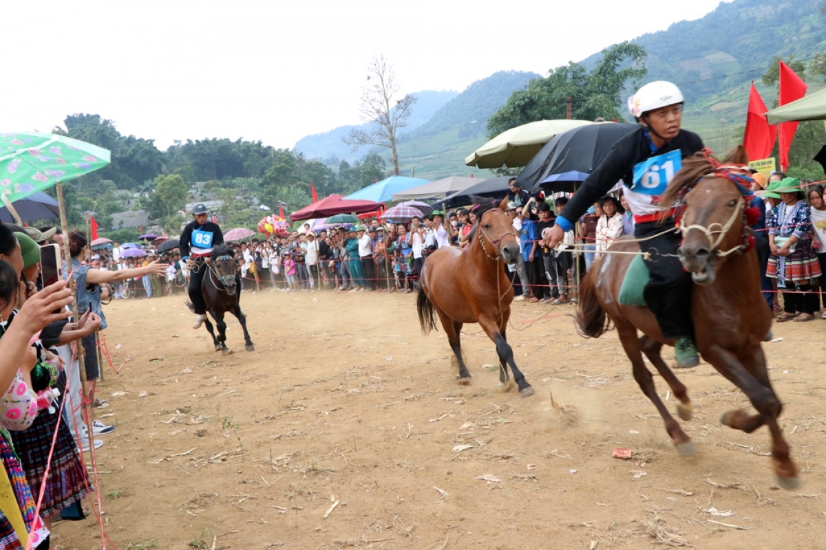 horse riders show off skills on the northern plateau picture 8 horse riders show off skills on the northern plateau picture 8