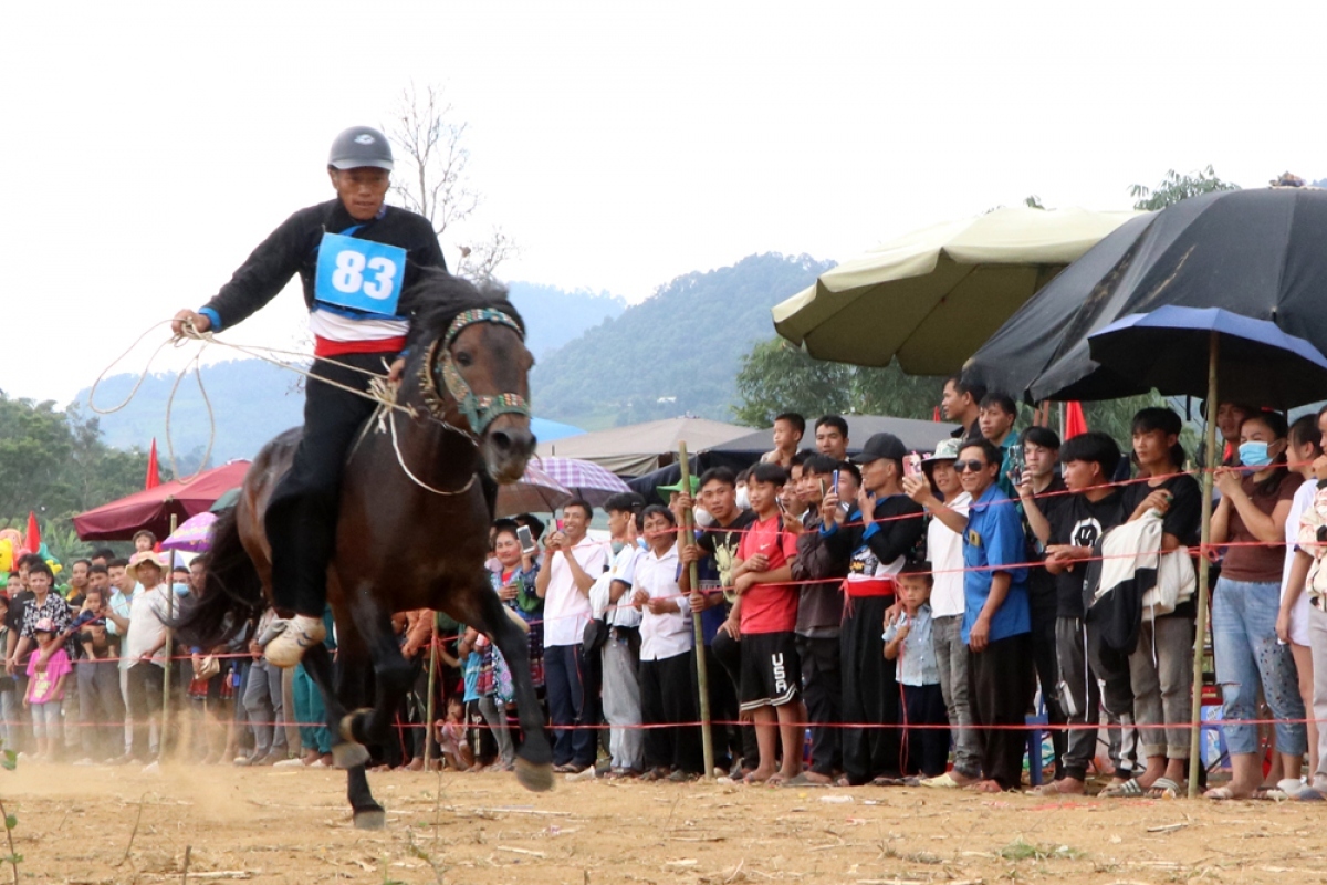 horse riders show off skills on the northern plateau picture 9