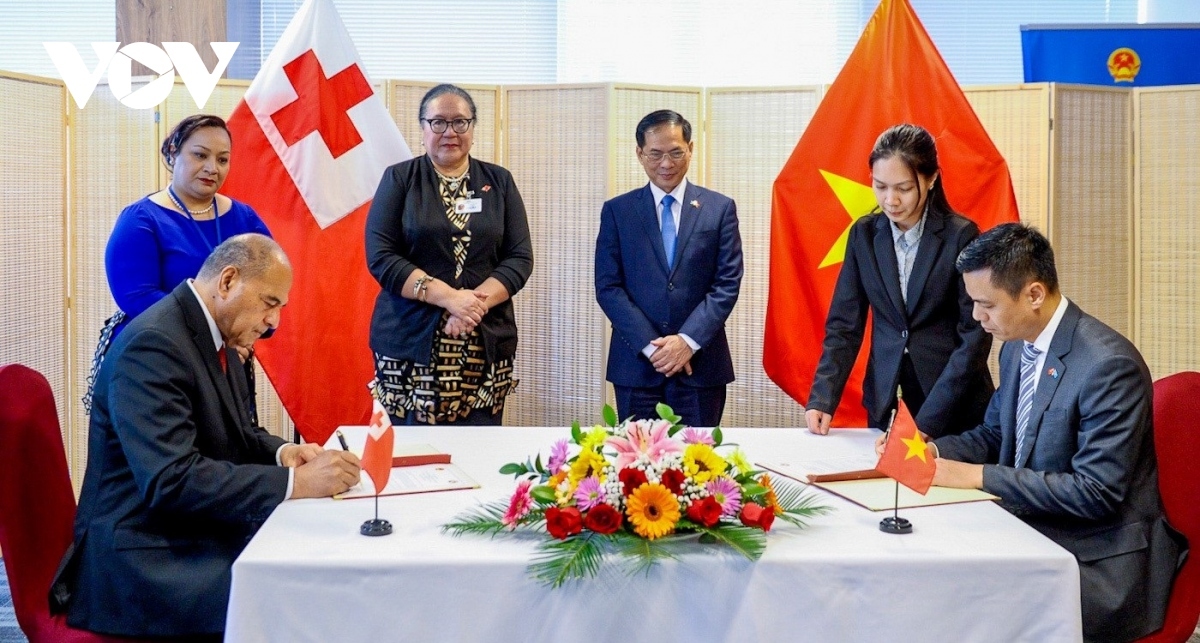 vietnam and tonga established diplomatic relations picture 1