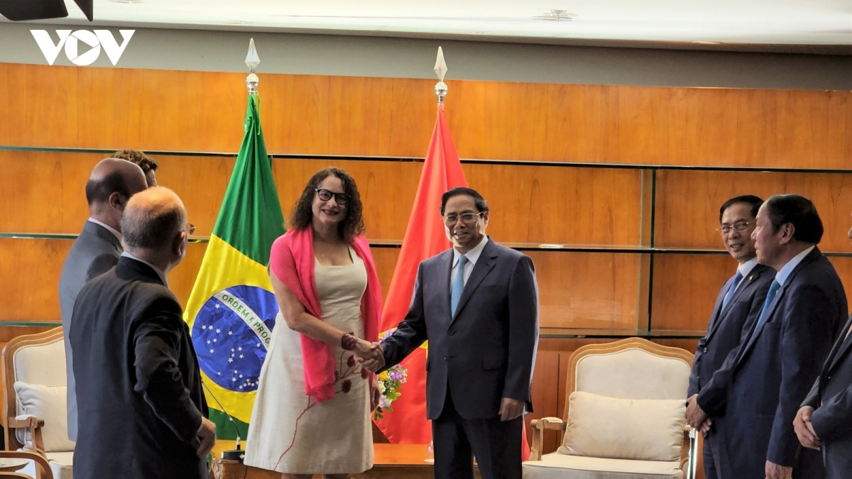 pm receives brazilian party leader, visits friendship association, and vietnamese embassy picture 1