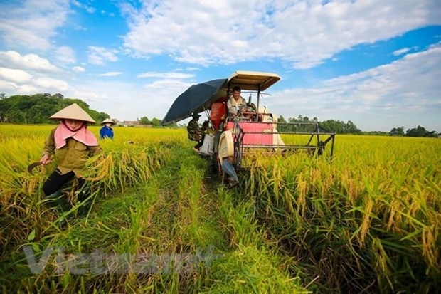vietnam keen on improving farmers capacity official picture 1