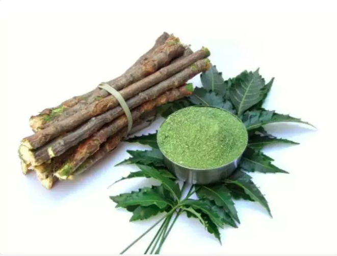 Lá Neem giúp kiểm soát lượng đường trong máu