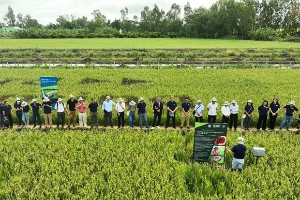 southeast asia s first bayer forwardfarm launched in vietnam picture 1