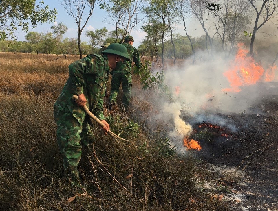 quang tri chay 10 hec ta rung phong ho hinh anh 7