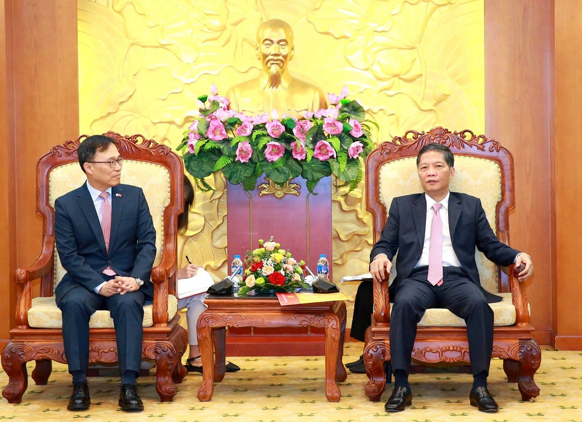 rok is important, long-term strategic partner for vietnam, says party official picture 1