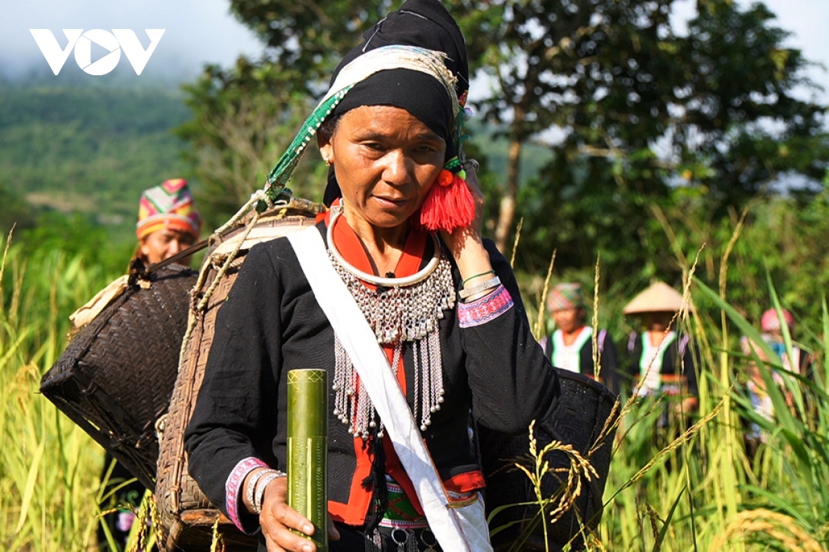 young rice festival of kho mu ethnic people in lai chau province picture 4
