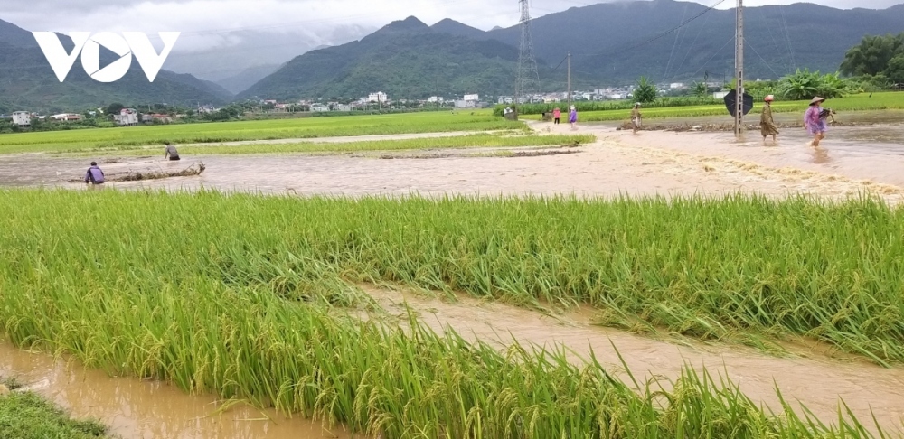 six dead and two missing in northern and central vietnam flooding picture 1