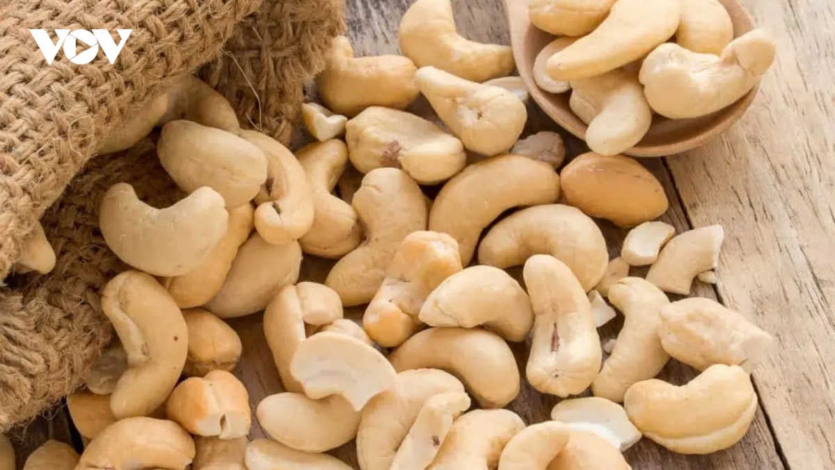 cashew exports hit record high of over us 300 million in august picture 1