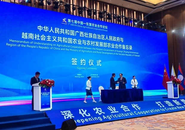 vietnam, china s guangxi sign mou on agricultural cooperation picture 1
