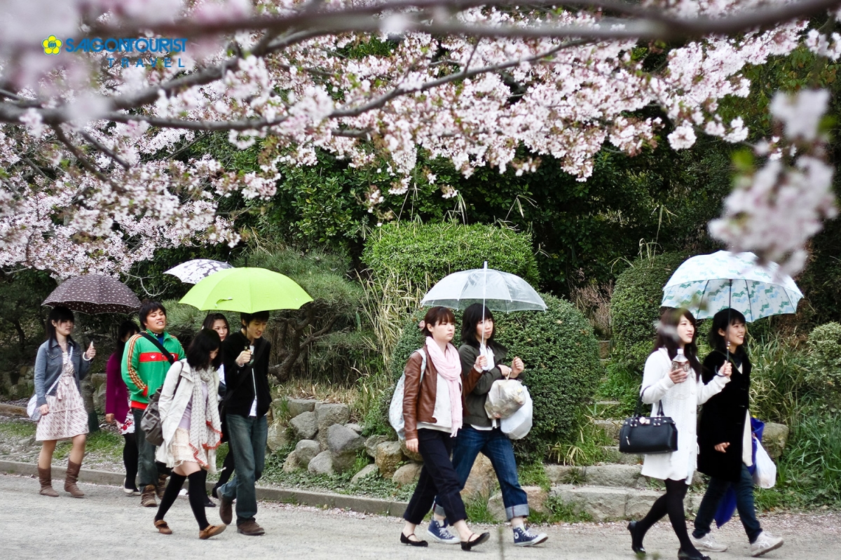 Vietnamese visitor number to Japan sees sharp increase