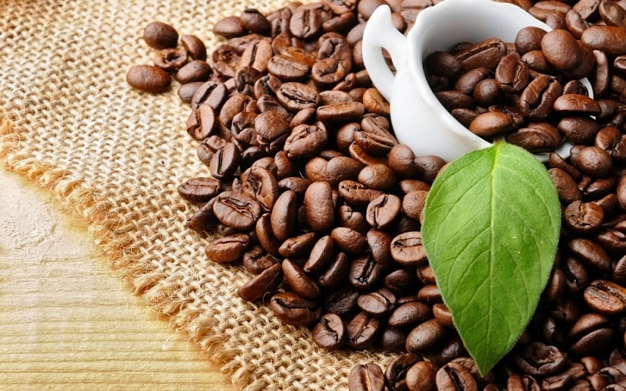 vietnamese robusta coffee exports to japan record double-digit growth picture 1