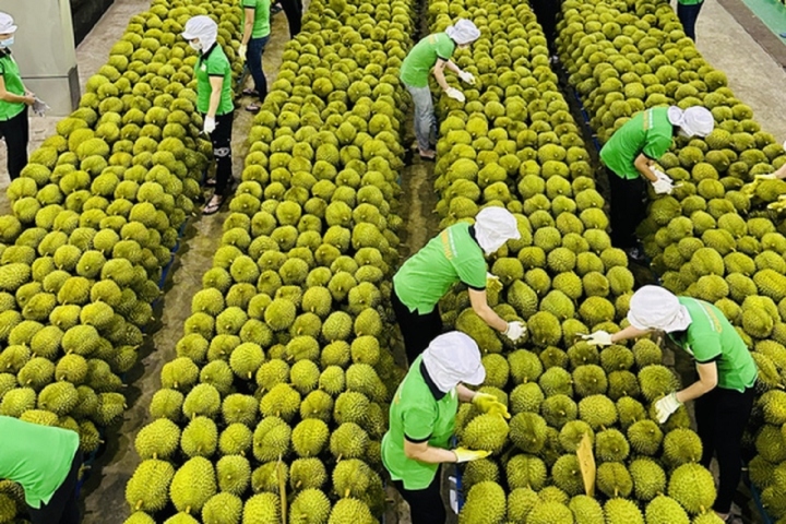 Fruit and vegetable exports exceed US$4 billion in nine months
