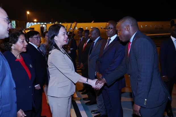 Vice President starts official visit to Mozambique