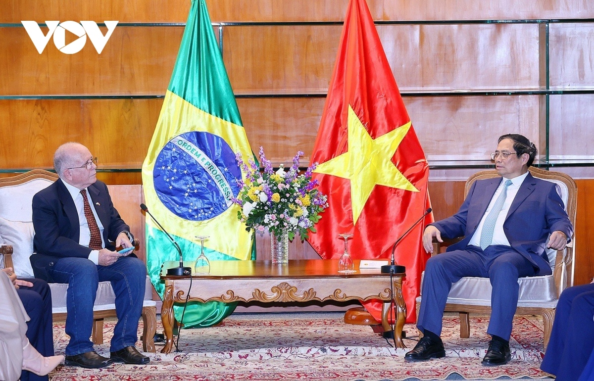 pm receives brazilian party leader, visits friendship association, and vietnamese embassy picture 2