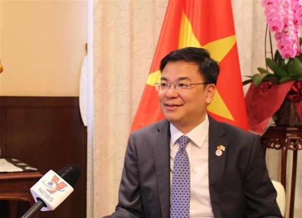 vietnam - japan ties live up to extensive strategic partnership ambassador picture 1