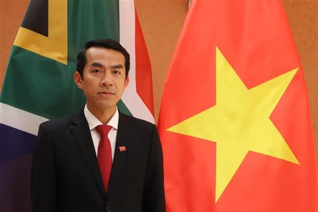 vietnam, south africa develop substantive, fruitful relations ambassador picture 1 vietnam, south africa develop substantive, fruitful relations ambassador picture 1