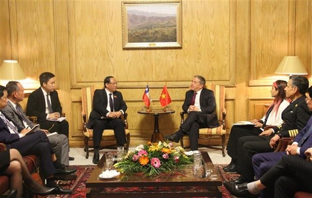 vietnam, chile eye stronger friendship, cooperation picture 1