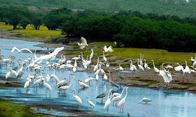 xuan thuy national park seeks asean heritage status picture 1