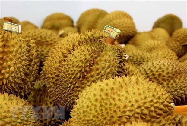durian export brings home us 1.63 billion in 9 months picture 1