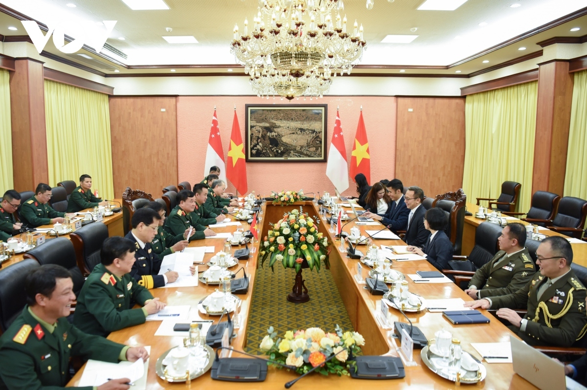 results of vietnam-singapore defence cooperation under scrutiny picture 1
