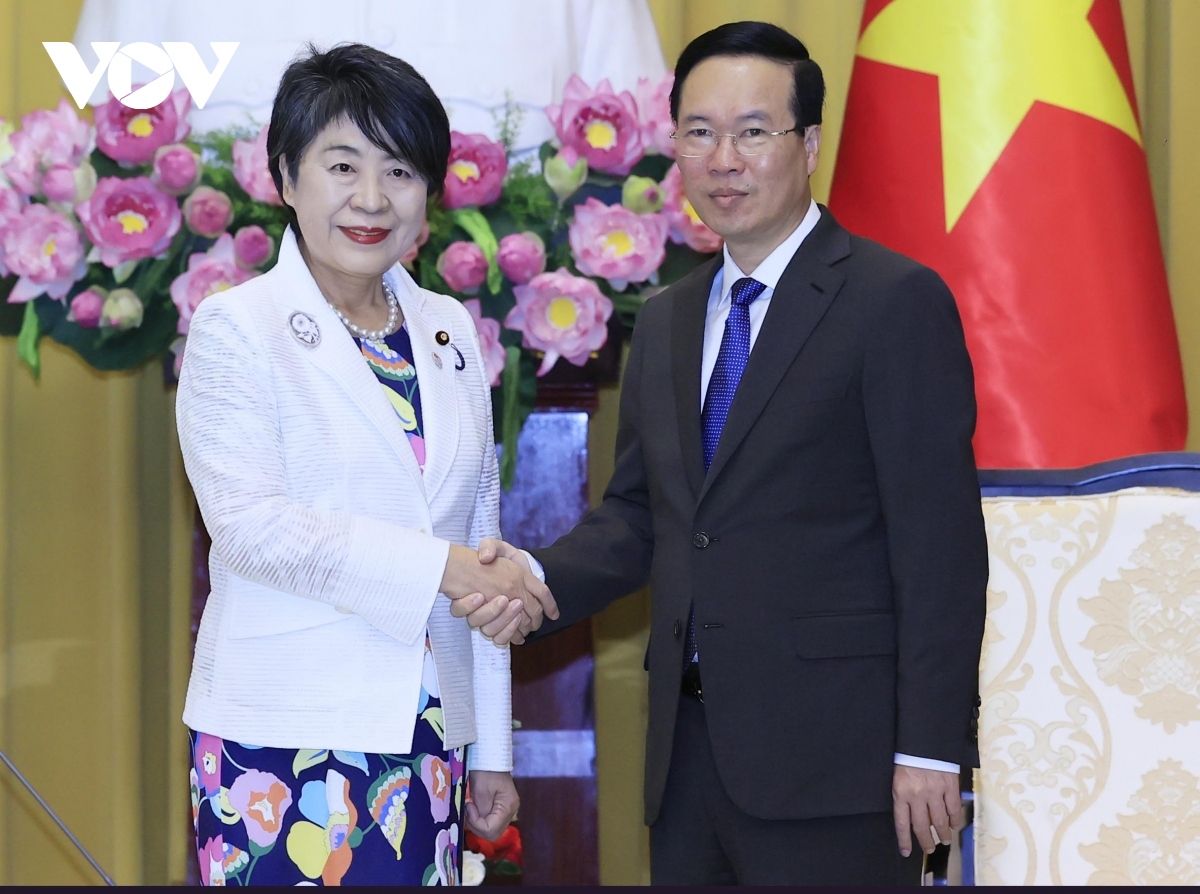 state president vo van thuong receives new japanese diplomatic chief picture 1