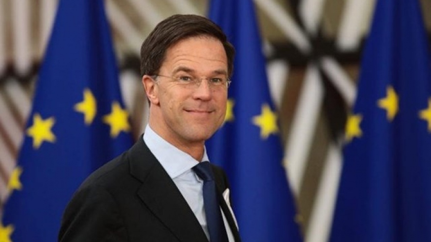 dutch pm to visit vietnam early next month picture 1