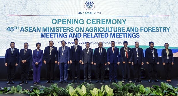 vietnam plays active role in asean agricultural cooperation picture 1