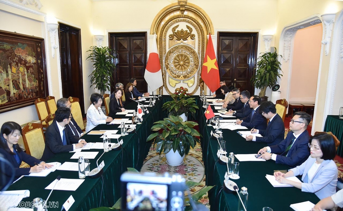 vietnam and japan sketch out plans to increase strategic cooperation picture 2