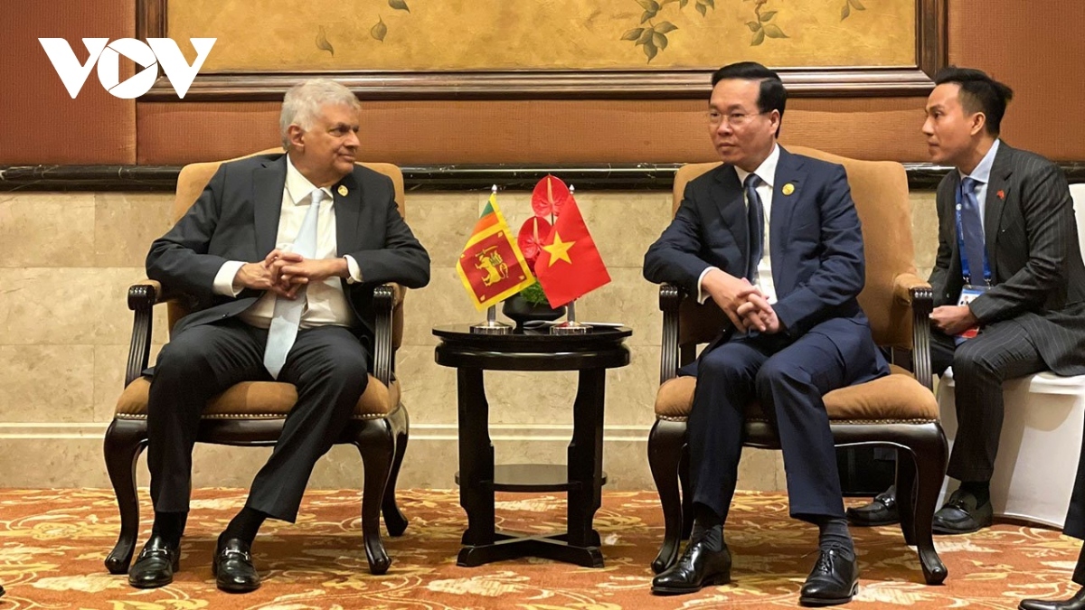 vietnam attaches importance to fostering traditional relations with sri lanka picture 1