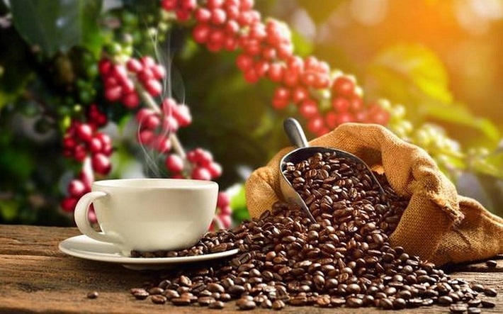 coffee exports gradually reach us 4 billion mark picture 1