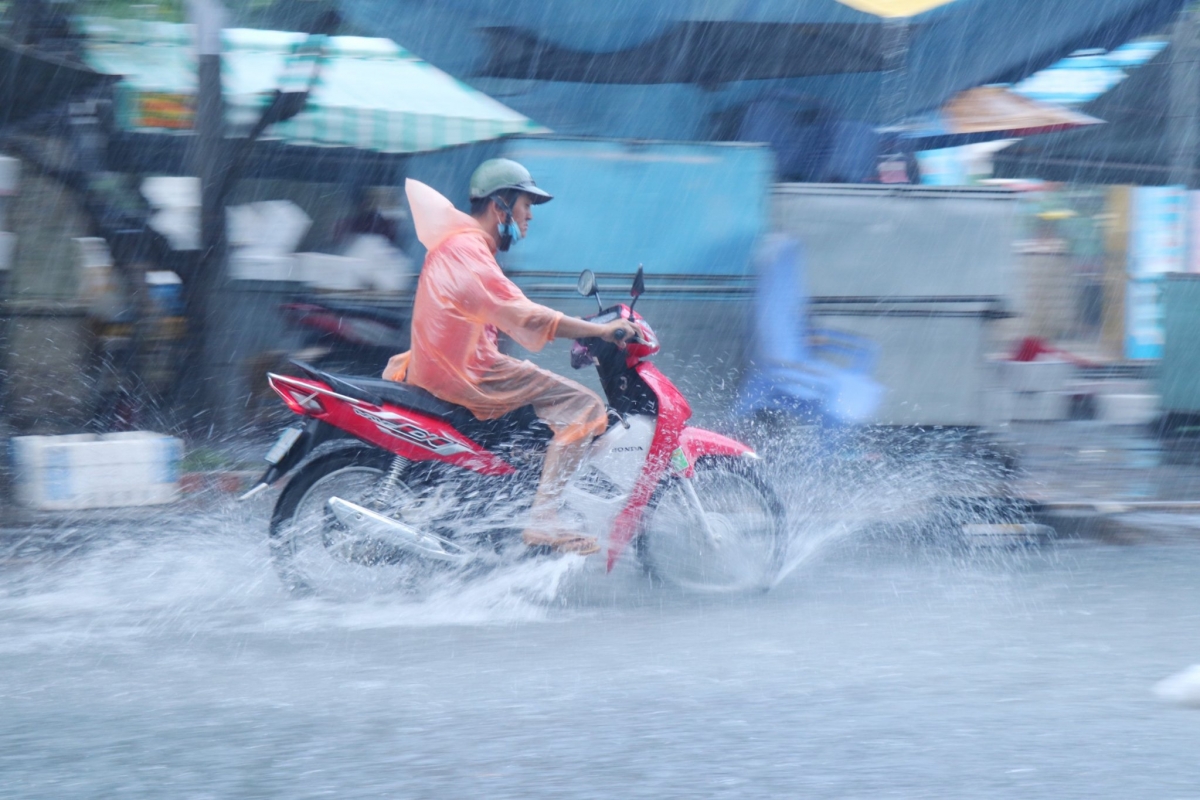 Bạc Liêu triển khai nhiều giải pháp ứng phó với mưa lớn, triều cường gây ngập